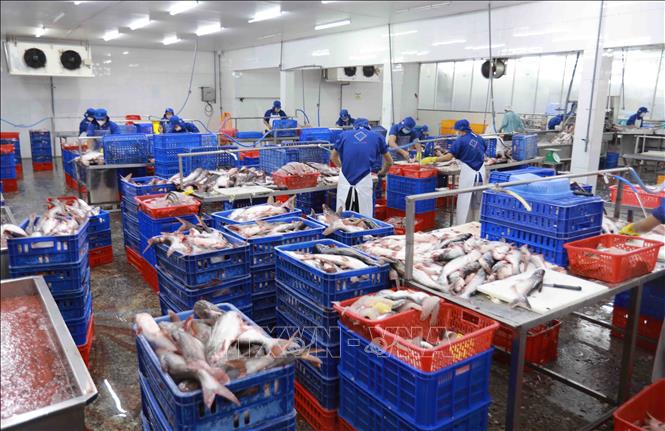 Bộ NN&PTNT: Xuất khẩu nông, lâm, thủy sản tăng trên 14%